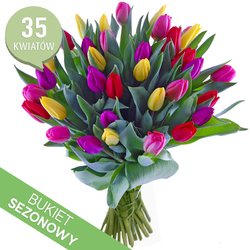 Bukiet 35 kolorowych tulipanów